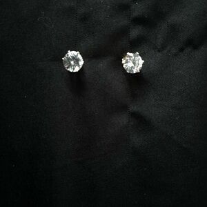 Elegant Silver Stud Earrings